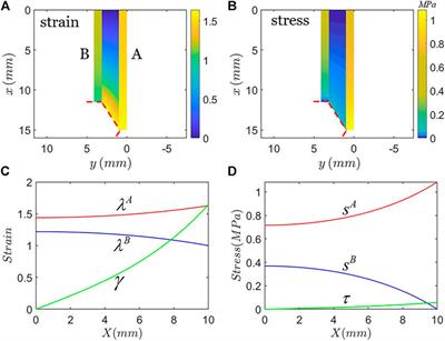 Toughening Mechanism of Unidirectional Stretchable Composite